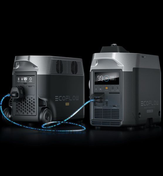 Двопаливний Генератор EcoFlow Smart Generator (газ-бензин) EKO-GasEBDUAL-EU фото