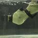 Подзорная труба Vanguard Endeavor XF 80A 20-60x80/45 WP (Endeavor XF 80A) DAS301038 фото 20