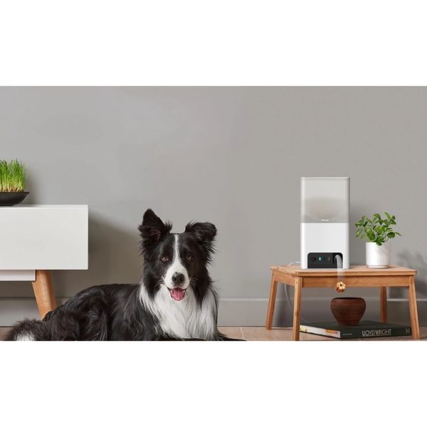 PETCUBE BITES 2 LITE BL10US IP камера 99-00014820 фото