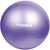 Мяч для фитнеса Toorx Gym Ball 75 cm Purple (AHF-013) 929488 фото
