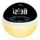 Часы настольные с радио Technoline WT500 Black/White (WT500) DAS301826 фото 16